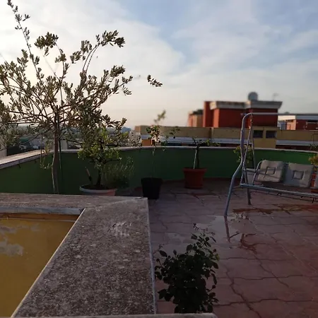 Sunset View